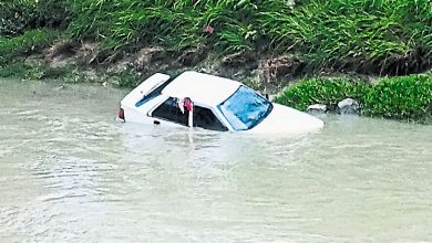 Photo of 车坠湖司机无恙 警揭路税过期没保险
