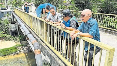 Photo of 大风雨树倒压毁庙宇屋顶 峇拉河堤崩塌须速修