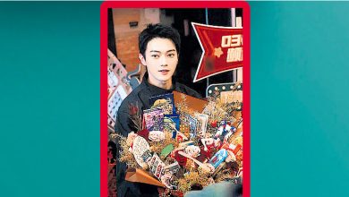 Photo of 中国广电局改规定 许凯男一降咖沦配角