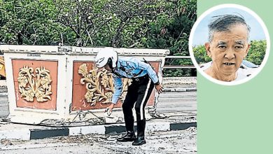 Photo of 赛阿都阿兹桥藏隐忧 花盆又被撞移位险酿祸