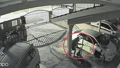 Photo of 电眼拍到用棍撩走 马身有贼偷内裤
