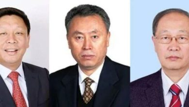 Photo of 中国顶尖专家连环落马 3军工系院士被除名