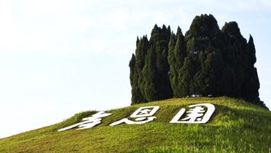 Photo of 骨灰瓮失窃案〡10人录供寻回4瓮  警不排除内鬼涉案