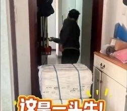 Photo of 北漂女生病 爸妈寄“超大包裹”帮补身 她拆开傻眼:是一整头牛