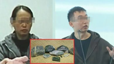 Photo of 带这特产回国 中国母子纽西兰被控