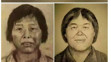 Photo of 涉拐卖9童逃亡20年 神秘“梅姨”被捕 真容与绘像差距大