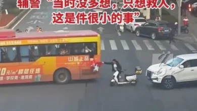 Photo of 女童倒挂巴士窗外 下班辅警飞身救人