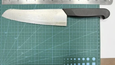 Photo of 男子凌晨持刀欲闯台总统府 警压制逮捕送办