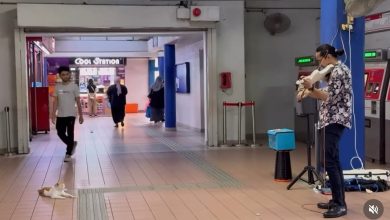 Photo of 街头艺人“头号粉丝”!猫咪LRT站包下前排 躺平听演奏