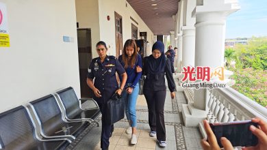 Photo of 涉挪用逾67万公款 单亲妈妈认4失信罪