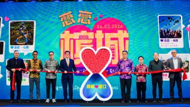 Photo of 厦门直飞槟航线创上亿经济效益 黄汉伟：平均客座率达85%