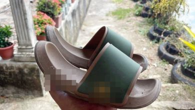 Photo of 热到鞋子缩水 从45号变39号