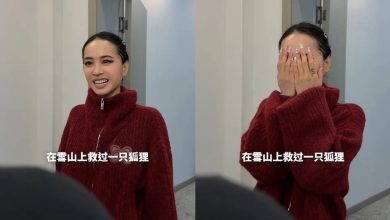 Photo of 蔡依林跟风AI神片 酱板鸭复仇真人版