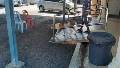 Photo of 女子带狗进诊所 引发卫生与敏感度热议