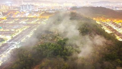 Photo of 雪州本查加里尔林火 37英亩烧毁终扑灭