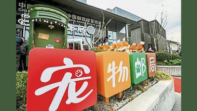 Photo of 中国首家 上海宠物主题邮局开业