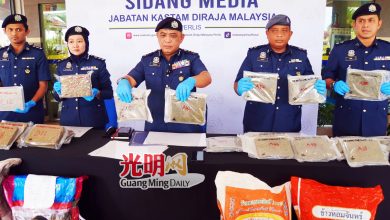 Photo of 玻关税局跨州取缔 吉起逾87kg大麻砖