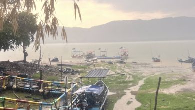 Photo of 酷热逾20天终降雨 玻60%地区解渴