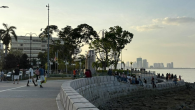 Photo of 探讨修建槟岛北岸海堤 市长: 增添新海岸走道