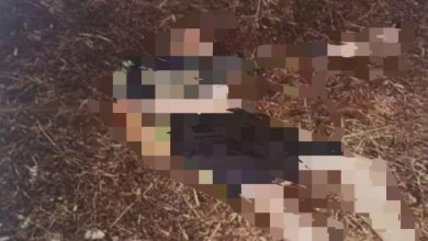 Photo of 男子疑遭火车撞死 警方急寻家属