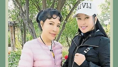 Photo of 亲妹开撕没养老金 外甥告刘晓庆造谣
