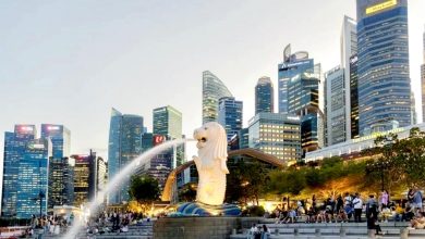 Photo of 中国与台湾旅客增逾六成 狮城2月迎150万旅客人次
