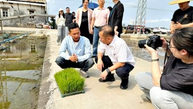 Photo of 陈泓缣:借鉴江门经验 提升大马水稻种植