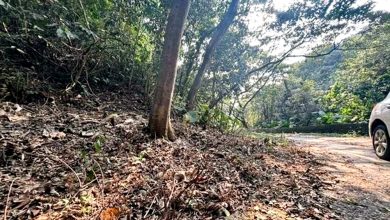Photo of 削脸挖眼弃尸路边 男子涉毒品纠纷遭虐杀