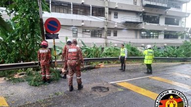 Photo of 隆市暴风雨倒树 多车遭砸受损 消防紧急救援