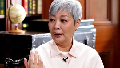 Photo of 惊爆当苏施黄当备胎 金燕玲：我们绝对不是爱情
