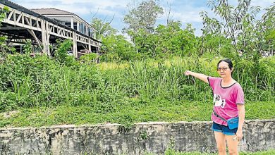 Photo of 九洞先进高原荒地蛇扰民 PSM促怡市厅速清理