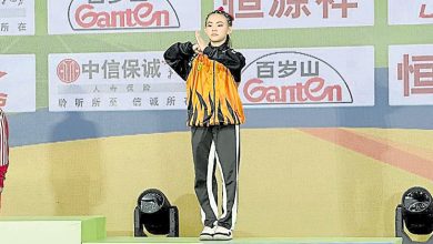 Photo of 【武术】世青武术锦标赛 丁柔心交出马第4金