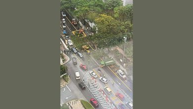 Photo of 隆市区相继发生 暴风雨树倒砸车