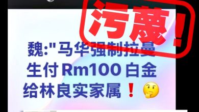 Photo of 林良实逝世〡消费往生者行为可耻 马华谴责网络枪手