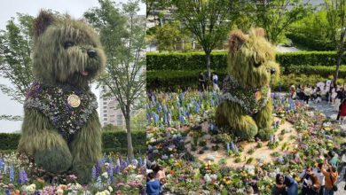 Photo of 上海国际花卉节 5.2公尺高“潦草小狗”萌翻天