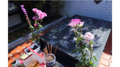 Photo of 扫墓文化会逐渐消失吗?网民舆论一边倒