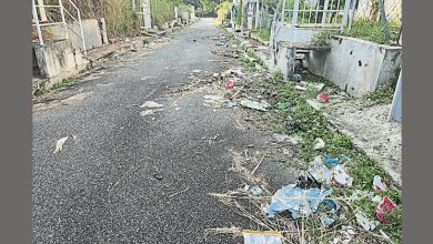 Photo of 店前后巷垃圾处处 甲新工业区脏又乱