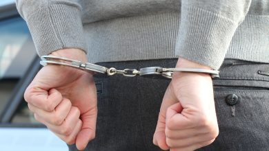 Photo of 移民局捣破“波汉帮”  27人落网包括主谋