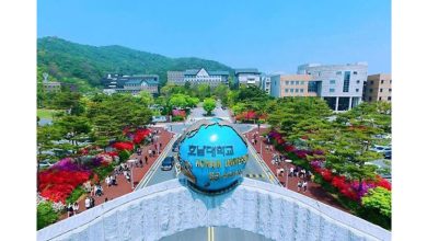 Photo of 117中留学生被爆 伪造学历入读韩湖南大学