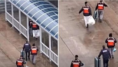 Photo of 迟到15分钟代价 ! 3游客被邮轮“抛下” 行李全丢下船