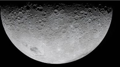 Photo of 不只插旗! NASA定2033年 人类永久驻月球