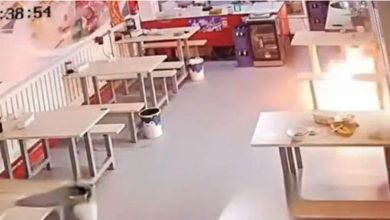 Photo of 浑身着火流浪猫冲店求助 店主秒灭火抢命
