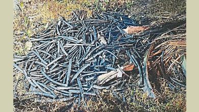 Photo of 霹2个月67偷电缆案 同比去年减少
