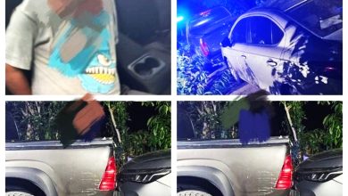 Photo of 稻田区追逐图撞警车 前科男遭开枪制伏