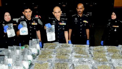 Photo of 3毒骡运45公斤大麻花往欧 甫下机即被捕遣返大马