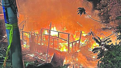 Photo of 古拿拉杭新村旧家火患 胞弟住所爱犬烧死