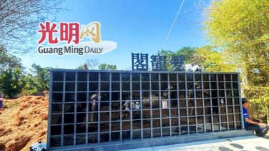 Photo of 念恩园与伙伴提供宠物善终 “爱宠陵园”供寄托思念