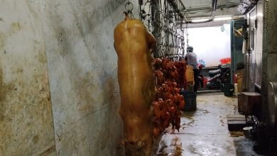 Photo of 突检3屠宰场 2家卫生欠满意