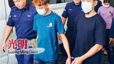Photo of 玻警破今年最大毒品案 3男女被控贩毒