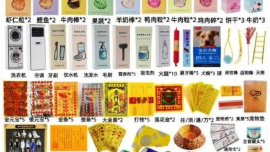 Photo of 宠物也有冥币 中国宠物祭祀用品热销